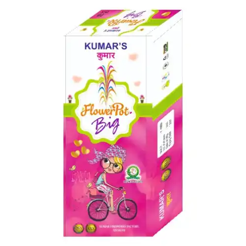 Flower pot Big (10PCS)